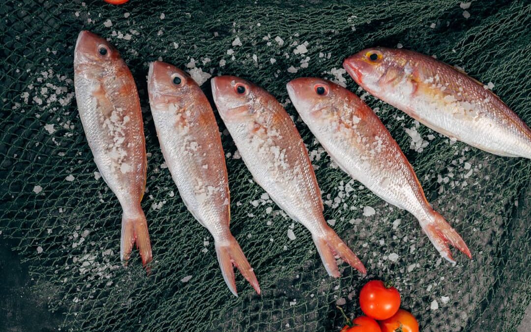 Como congelar carne de peixe corretamente?